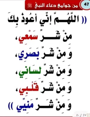 وسام محمد زياد ابو ساكور 