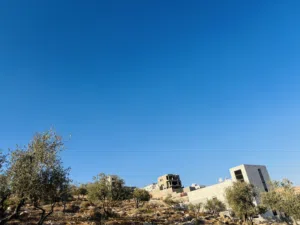 Residential Land for Sale in Zarqa Um Rummanah