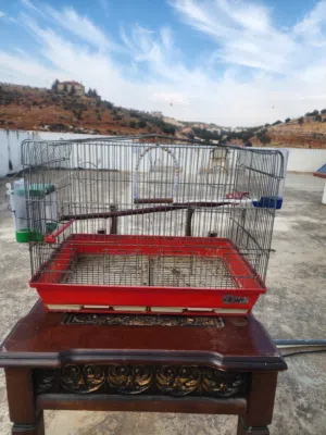 قفاص للبيع عدد 4