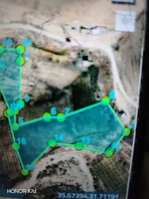 Farm Land for Sale in Madaba Mai'n
