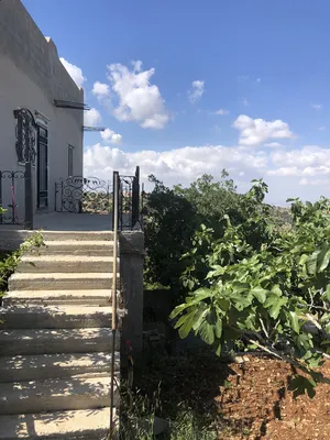 ‏٣ غرف نوم ‏.‏ مفروشة ‏.‏ يومي‏0