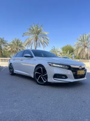للباحث عن التميز هوندا أكورد 2019 ( 1.5 توربو)