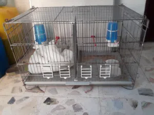 زوز سلاكات انظاف هلبا