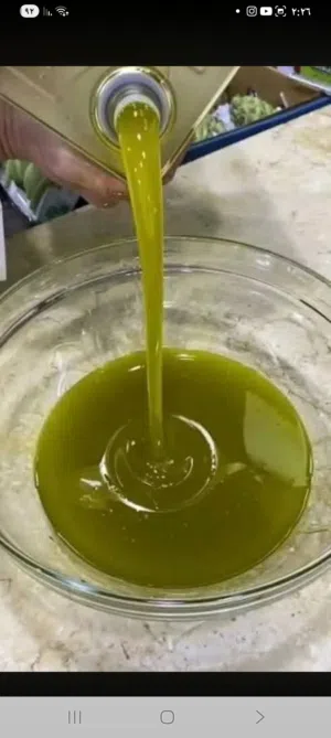 زيت زيتون من مزارع الشمال