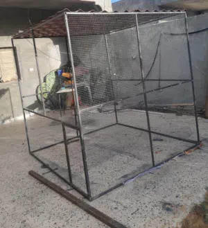قفص طيور 2*2*2 خامة ممتازة وخدمة الله يبارك