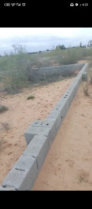 Residential Land for Sale in Tripoli Wadi Al-Rabi