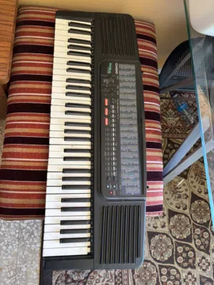 Org casio CT-638