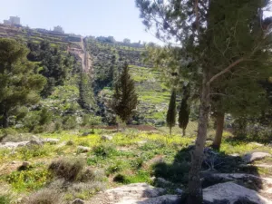 Residential Land for Sale in Hebron Dura