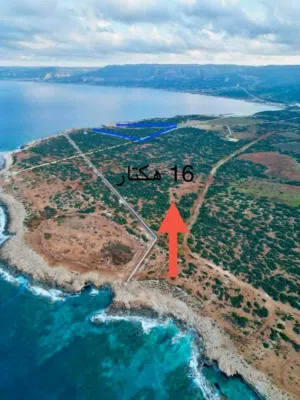 Mixed Use Land for Sale in Al Qubah Other
