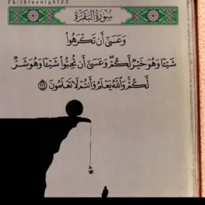محمد محمد 