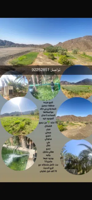 للبيع مزرعه وادي بني خالد
