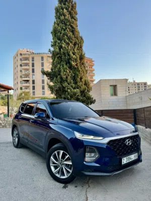 سانتفي 2019