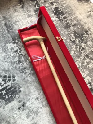 عصا عتم الجبل الأخضر.. اقرا الوصف