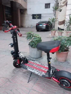 Electric scooter