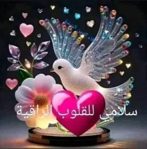 شريك ممول عماني