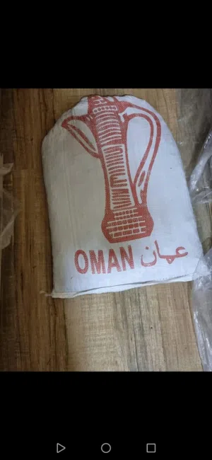 تمر نفيعه محصول