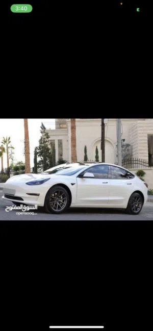 Tesla model 3 standar plus 2021