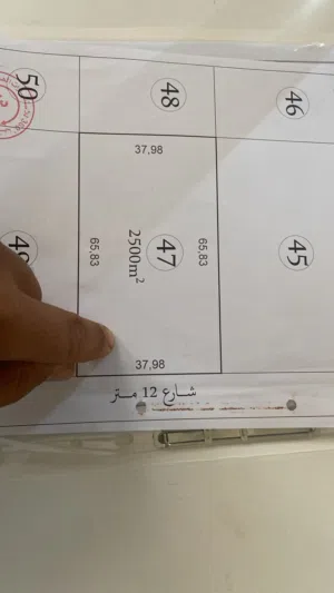 ارض 2500 للبيع طلحية موقع استراحة