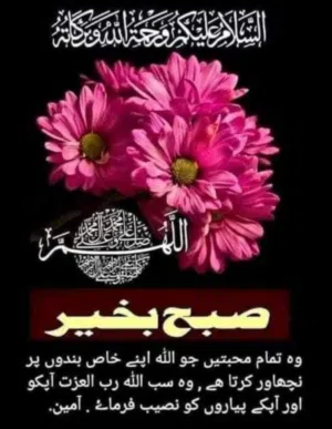 Muhammad naveed 