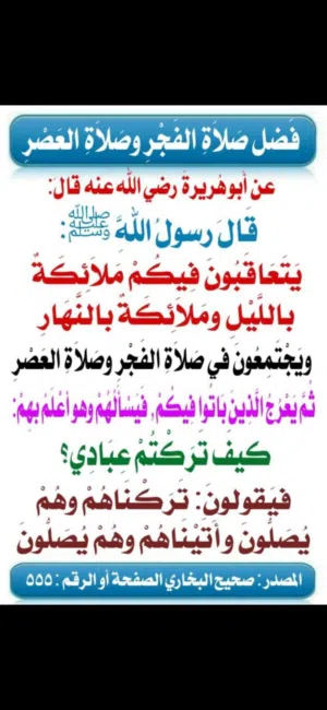 ملحمه ومشاوي للبيع منطقة القويسمة