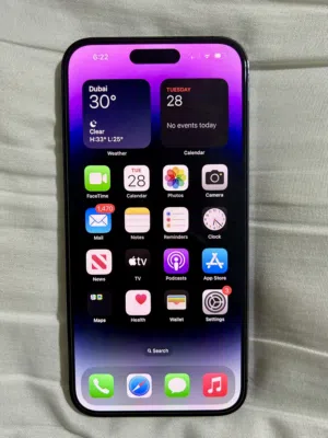 iPhone 14 Pro Max 256 GB