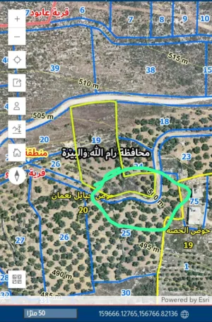 ارض دير نظام