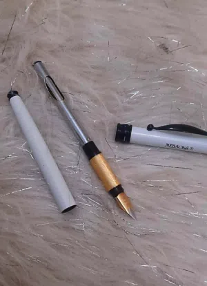 عندي ميبسون ريشة ريديوم  وقلمين باركر كلهم 10 نهائي