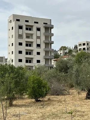 ‏أكثر من 6 غرف ‏.‏ ٣ حمّامات ‏.‏ 235 م٢‏2