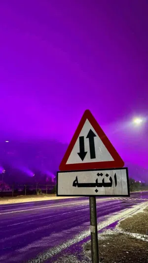 الانصاري 