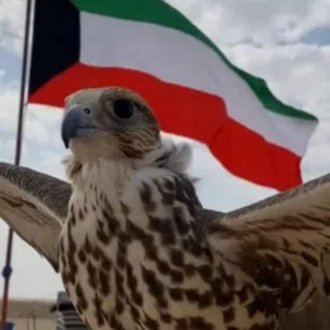 ابو الجوهرة 