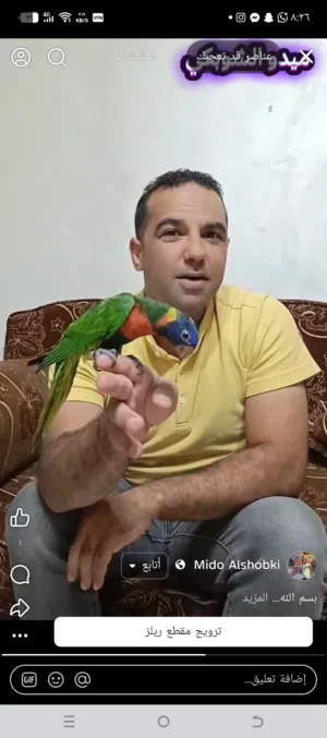 بسم الله نبدا عشاق التميز والباحثين عن الحبات الوري الاليفه والمتكلمه الفيديو بشرح كلشي متابعه لتش