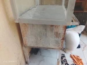 ميز ويا عفريت فلافل البيع