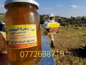عسل بلدي اصلي طبيعي ومضمون ومكفول من مناحلنا .