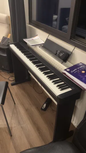 Piano Casio professional
