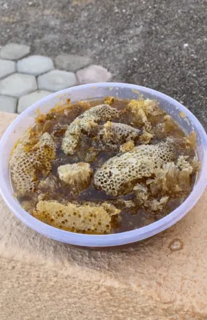للبيع عسل بشمعه بطويق جبلي مال سنه ما شاء الله برم صافي ومضمون