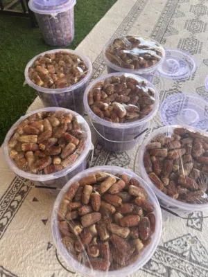 سح نغال محقب سح بياض وجه متوفرات 4 سطول الوزن 3 كيلو  السعر 3ریال