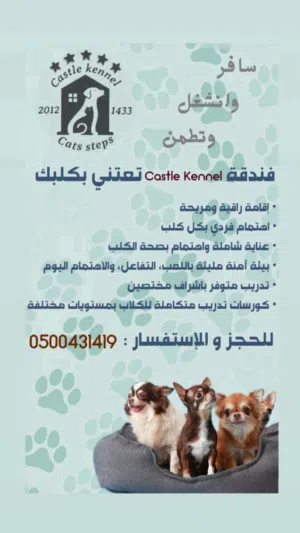 فندقة وتدريب كلاب جدة