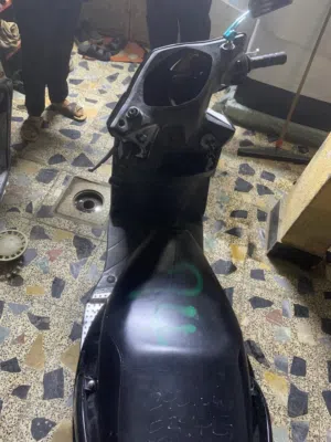 سكنس فحل 2012