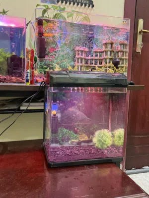Aquarium -