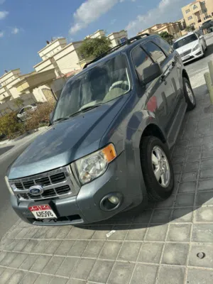 Used Ford Escape in Abu Dhabi
