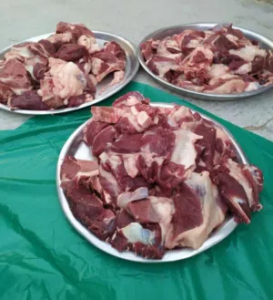 لحام متنقل لذبح الاضاحي