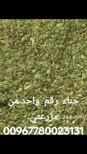 متجر 