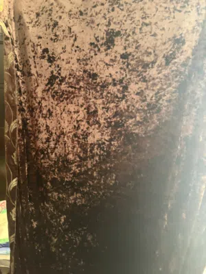 Valvet curtains