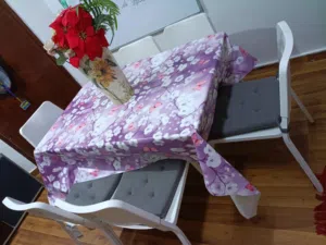free delivery  Ikea heavy dining table set  6 seaterwith Ikea cushion cover