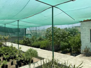 Agriculture Garden