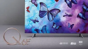 Samsung 55 Smart QLED TV - 4K, 55Q6F
