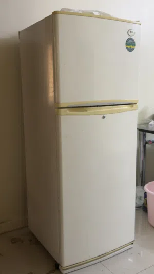 Lg refrigerator