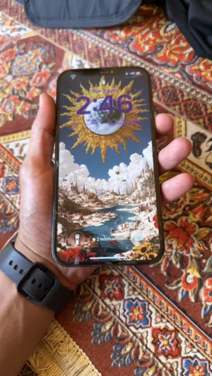 Apple iPhone 12 Pro Max 256 GB in Tripoli