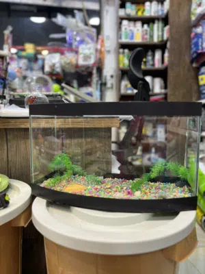 حوض سمك لف جديد سعر عرض خرافي عالواقع أجمل بمليون مره طبعا لف وموجودة الأبعاد بالريلز