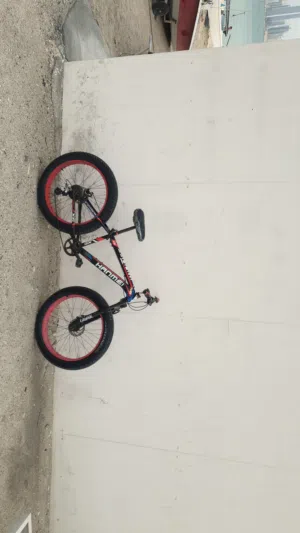 Bicycle for sale